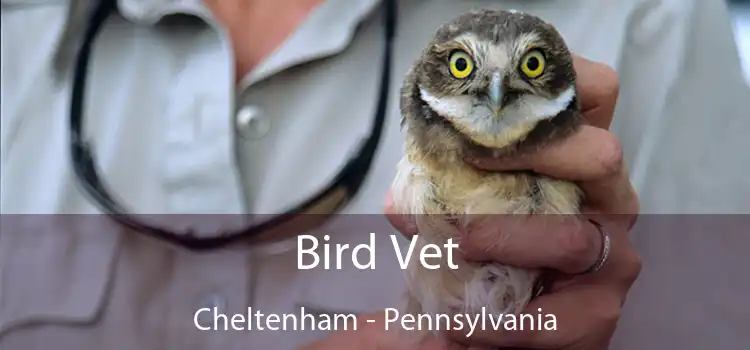 Bird Vet Cheltenham - Pennsylvania