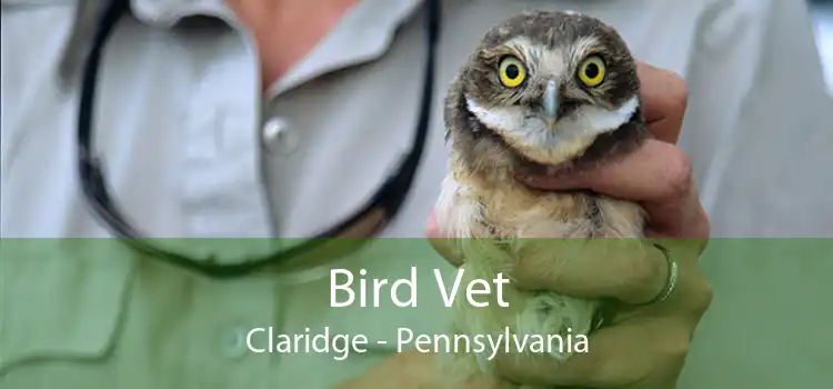 Bird Vet Claridge - Pennsylvania