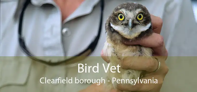 Bird Vet Clearfield borough - Pennsylvania