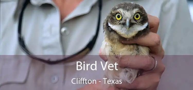 Bird Vet Cliffton - Texas