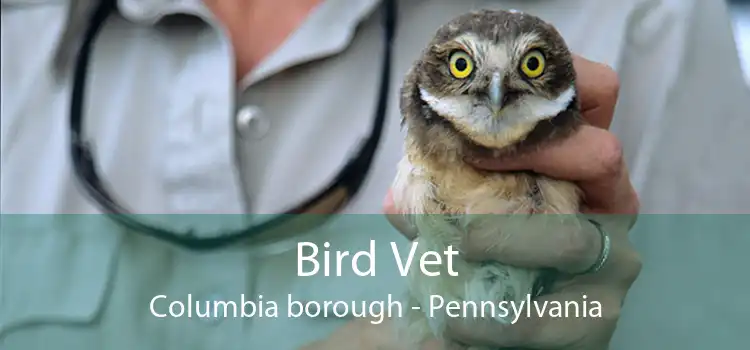 Bird Vet Columbia borough - Pennsylvania