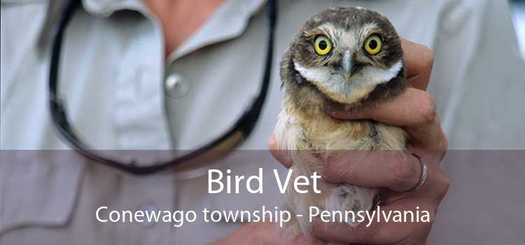 Bird Vet Conewago township - Pennsylvania