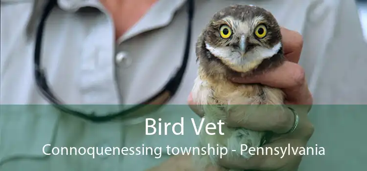Bird Vet Connoquenessing township - Pennsylvania
