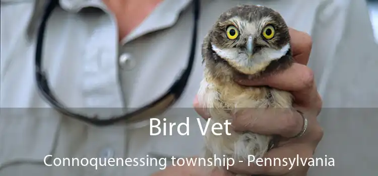 Bird Vet Connoquenessing township - Pennsylvania