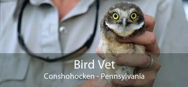 Bird Vet Conshohocken - Pennsylvania
