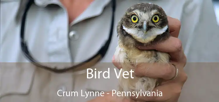 Bird Vet Crum Lynne - Pennsylvania