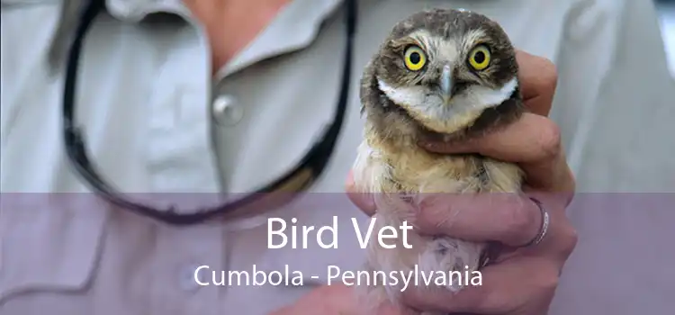 Bird Vet Cumbola - Pennsylvania