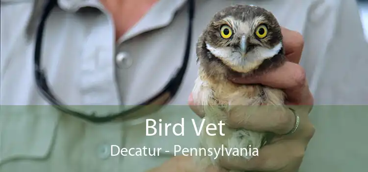 Bird Vet Decatur - Pennsylvania