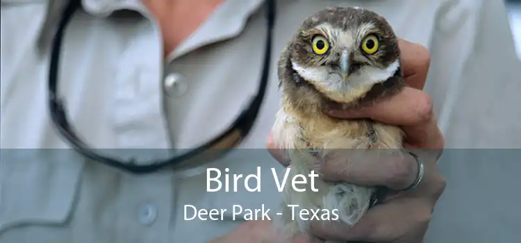 Bird Vet Deer Park - Texas