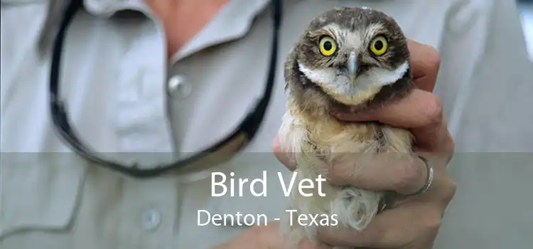 Bird Vet Denton - Texas