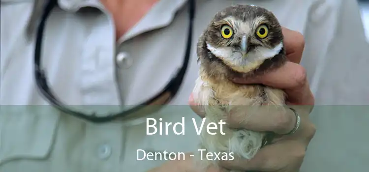 Bird Vet Denton - Texas
