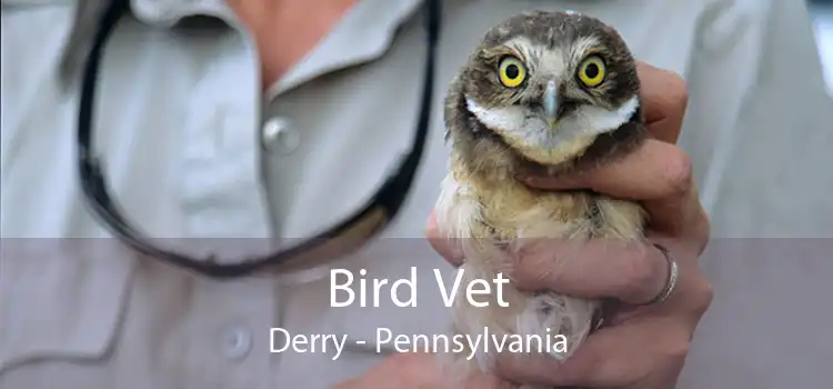 Bird Vet Derry - Pennsylvania