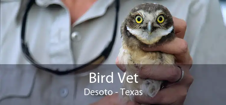 Bird Vet Desoto - Texas