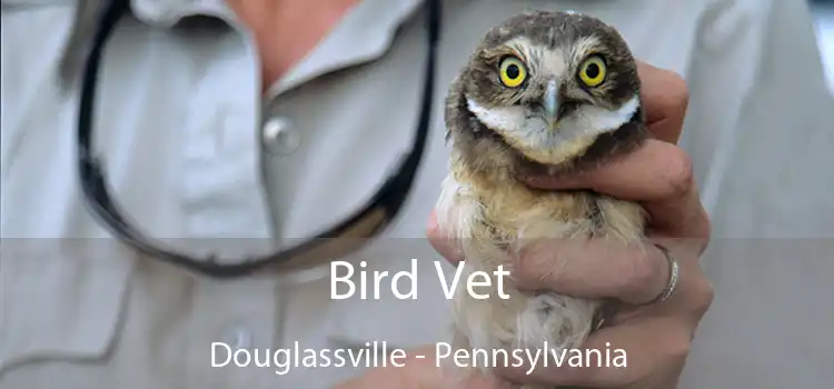 Bird Vet Douglassville - Pennsylvania
