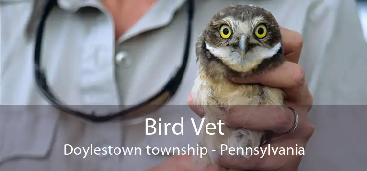 Bird Vet Doylestown township - Pennsylvania