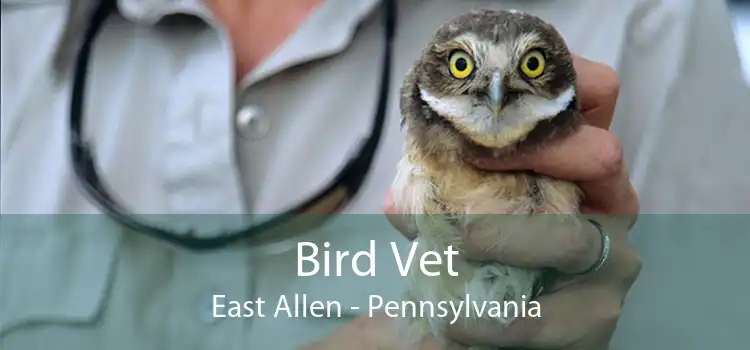 Bird Vet East Allen - Pennsylvania
