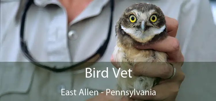 Bird Vet East Allen - Pennsylvania