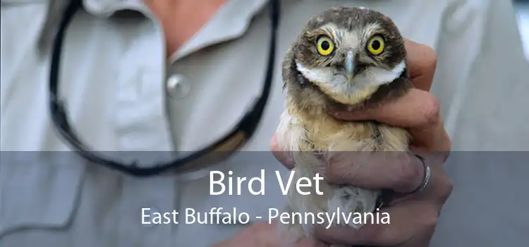 Bird Vet East Buffalo - Pennsylvania