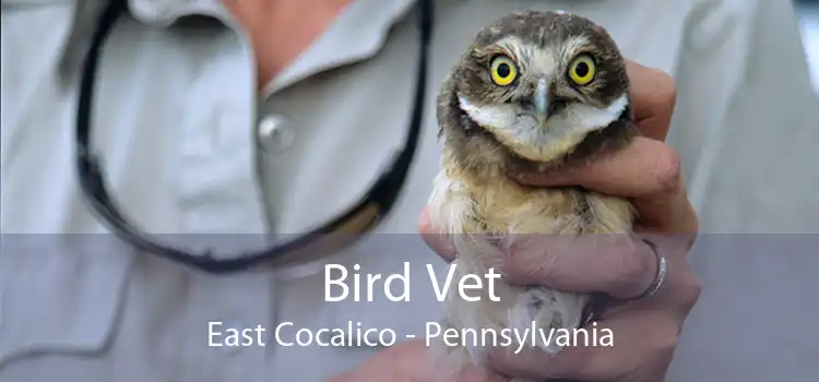 Bird Vet East Cocalico - Pennsylvania