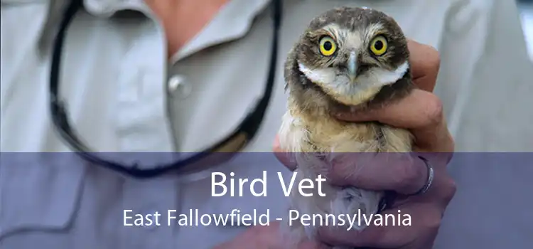 Bird Vet East Fallowfield - Pennsylvania