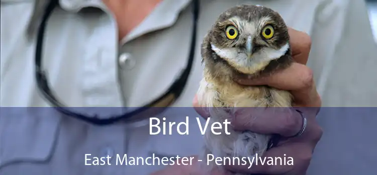 Bird Vet East Manchester - Pennsylvania