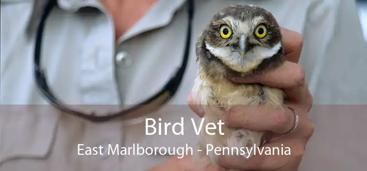 Bird Vet East Marlborough - Pennsylvania