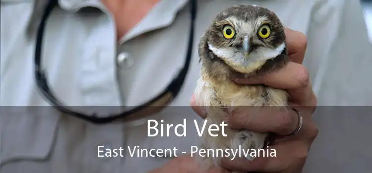 Bird Vet East Vincent - Pennsylvania
