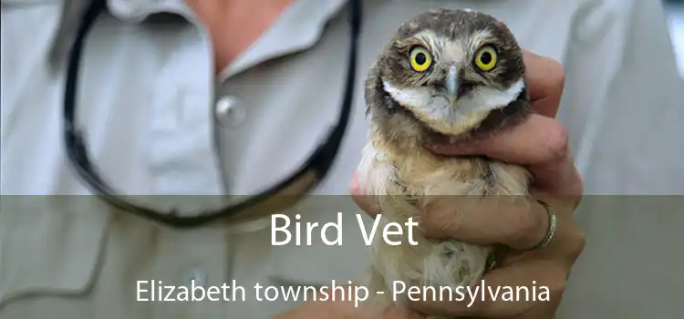 Bird Vet Elizabeth township - Pennsylvania