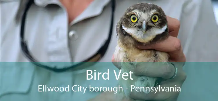 Bird Vet Ellwood City borough - Pennsylvania