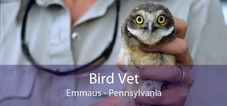 Bird Vet Emmaus - Pennsylvania
