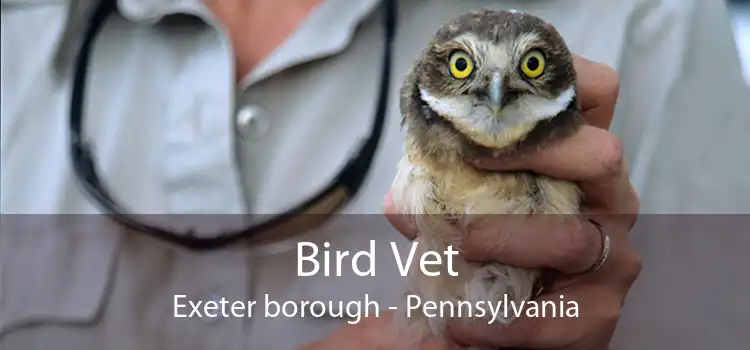 Bird Vet Exeter borough - Pennsylvania