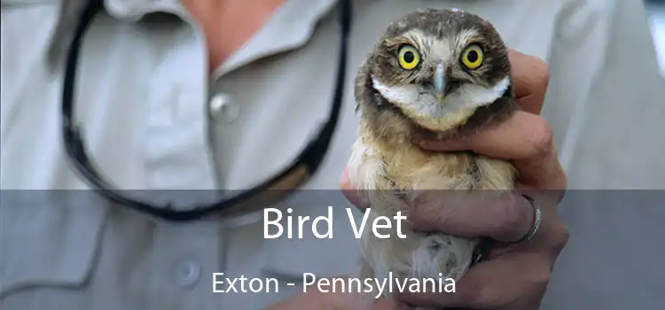 Bird Vet Exton - Pennsylvania