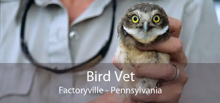 Bird Vet Factoryville - Pennsylvania