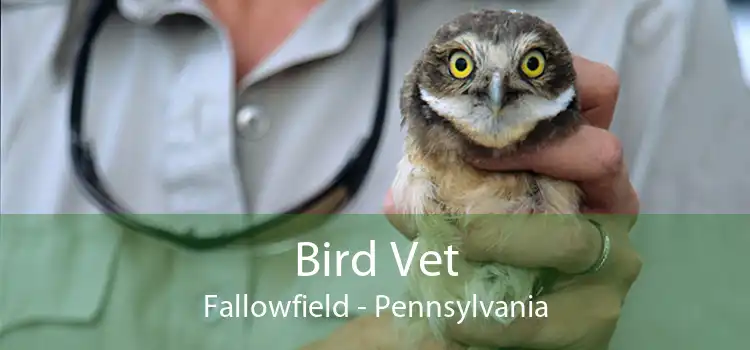 Bird Vet Fallowfield - Pennsylvania