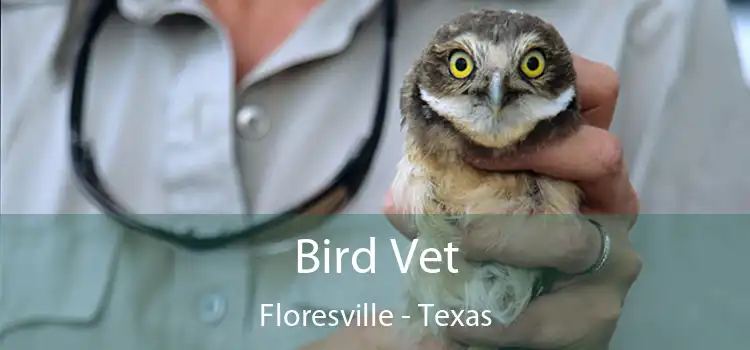 Bird Vet Floresville - Texas