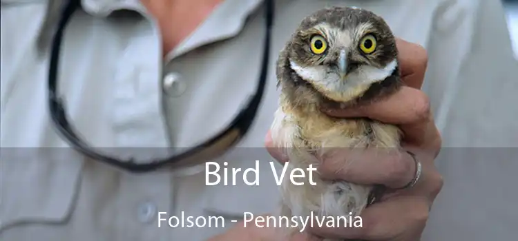 Bird Vet Folsom - Pennsylvania