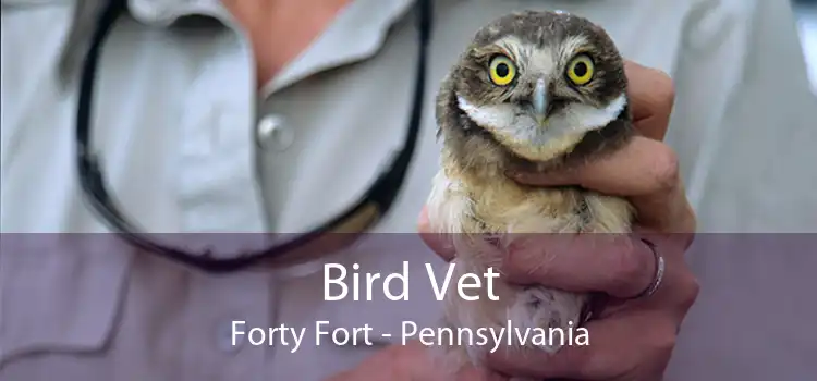 Bird Vet Forty Fort - Pennsylvania