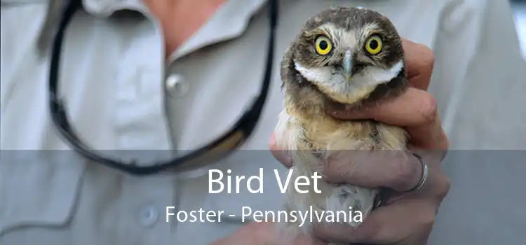 Bird Vet Foster - Pennsylvania