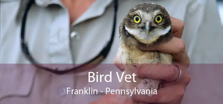Bird Vet Franklin - Pennsylvania