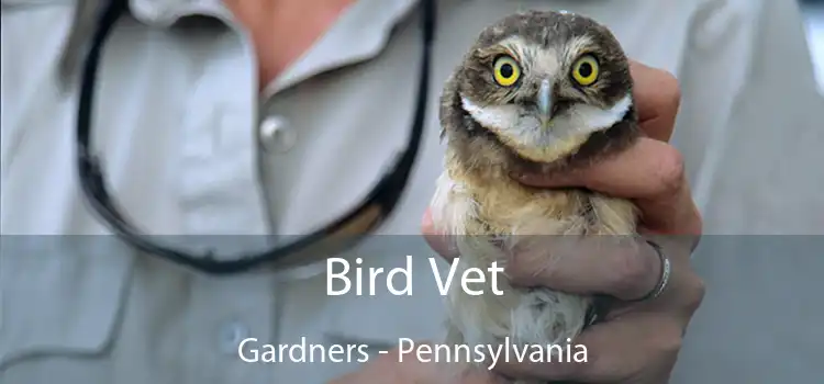 Bird Vet Gardners - Pennsylvania