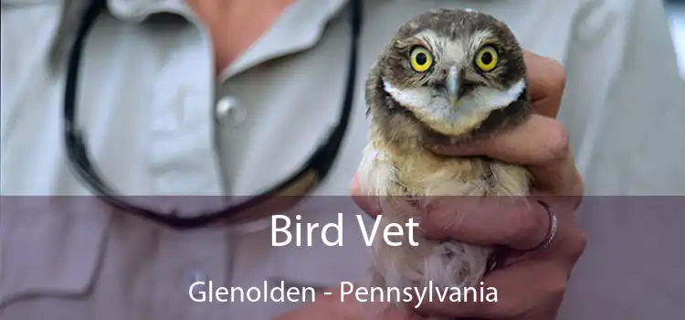Bird Vet Glenolden - Pennsylvania