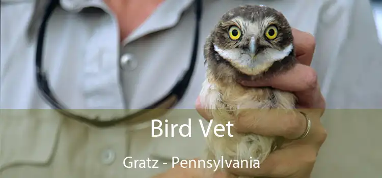 Bird Vet Gratz - Pennsylvania