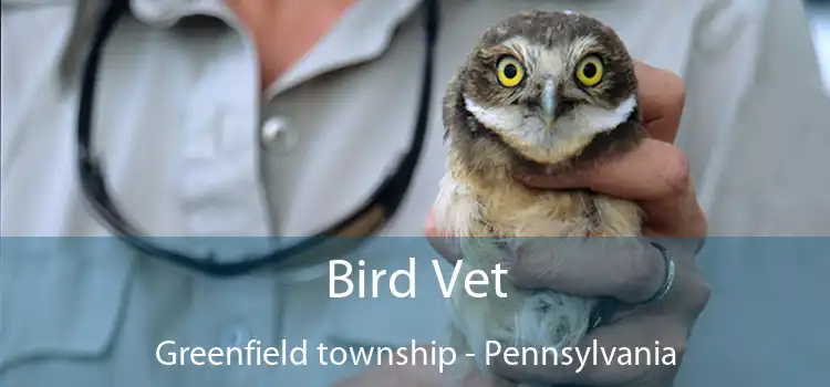 Bird Vet Greenfield township - Pennsylvania