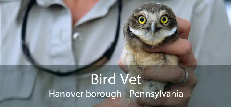 Bird Vet Hanover borough - Pennsylvania