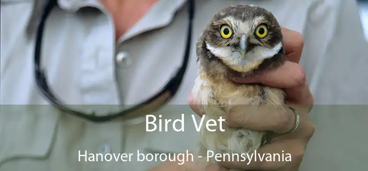 Bird Vet Hanover borough - Pennsylvania