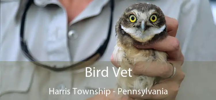Bird Vet Harris Township - Pennsylvania