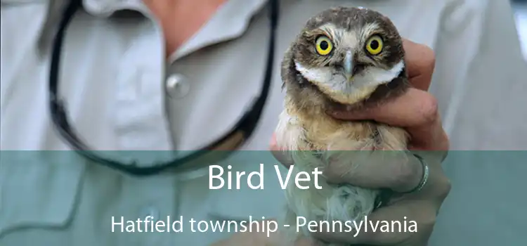 Bird Vet Hatfield township - Pennsylvania