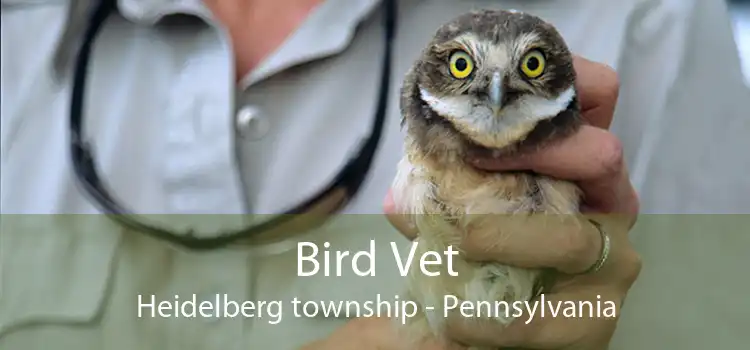 Bird Vet Heidelberg township - Pennsylvania