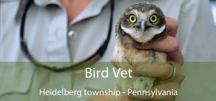 Bird Vet Heidelberg township - Pennsylvania
