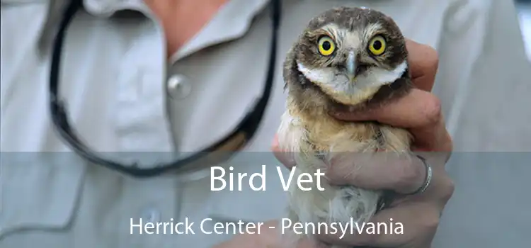 Bird Vet Herrick Center - Pennsylvania